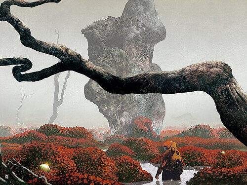 Land of the Sleeping Things by Dan McPharlin