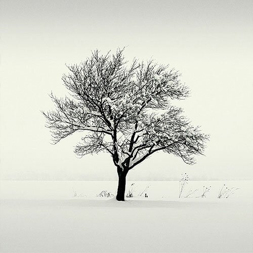 Winter time by Vladimir Zivkovic