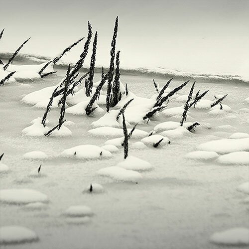 Winter time by Vladimir Zivkovic